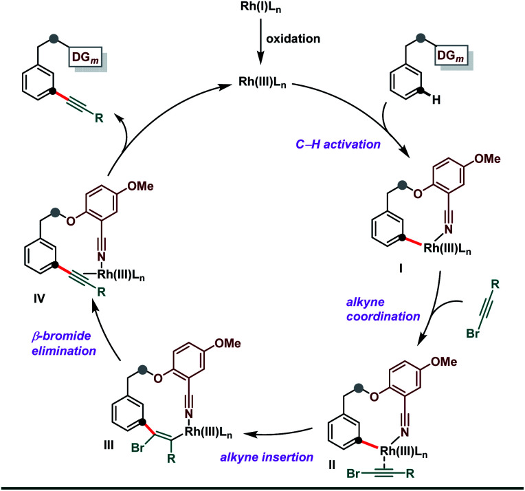 Scheme 7