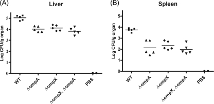 FIG. 8.