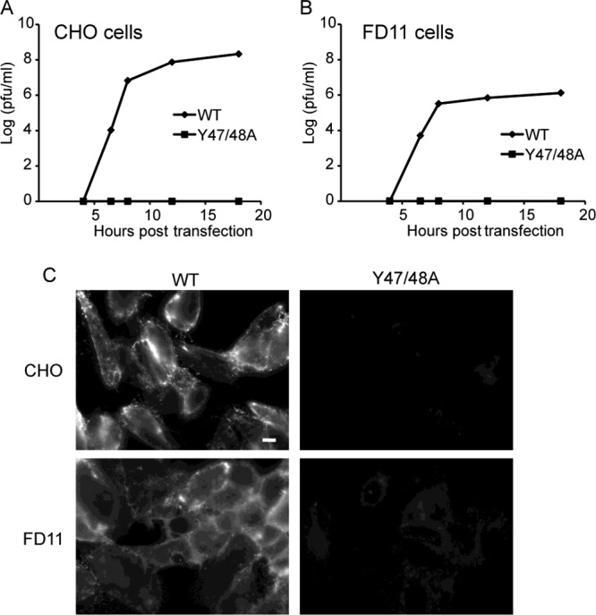 Fig 4