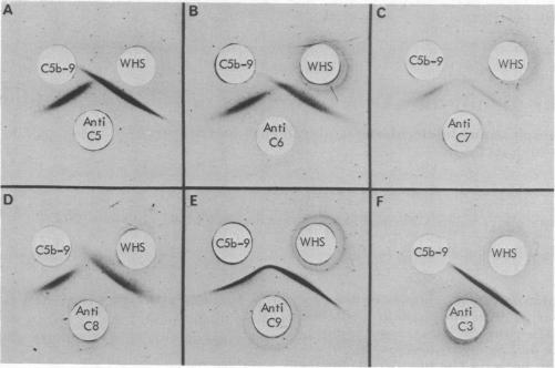 graphic file with name pnas00048-0046-a.jpg