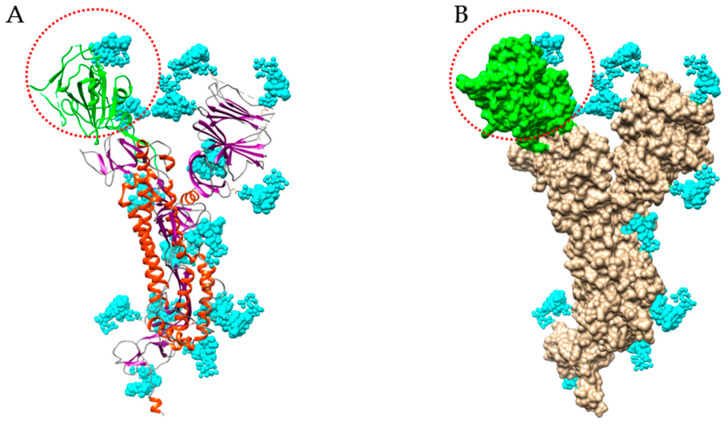 Figure 9