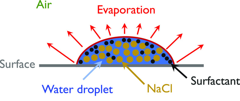 FIG. 13.