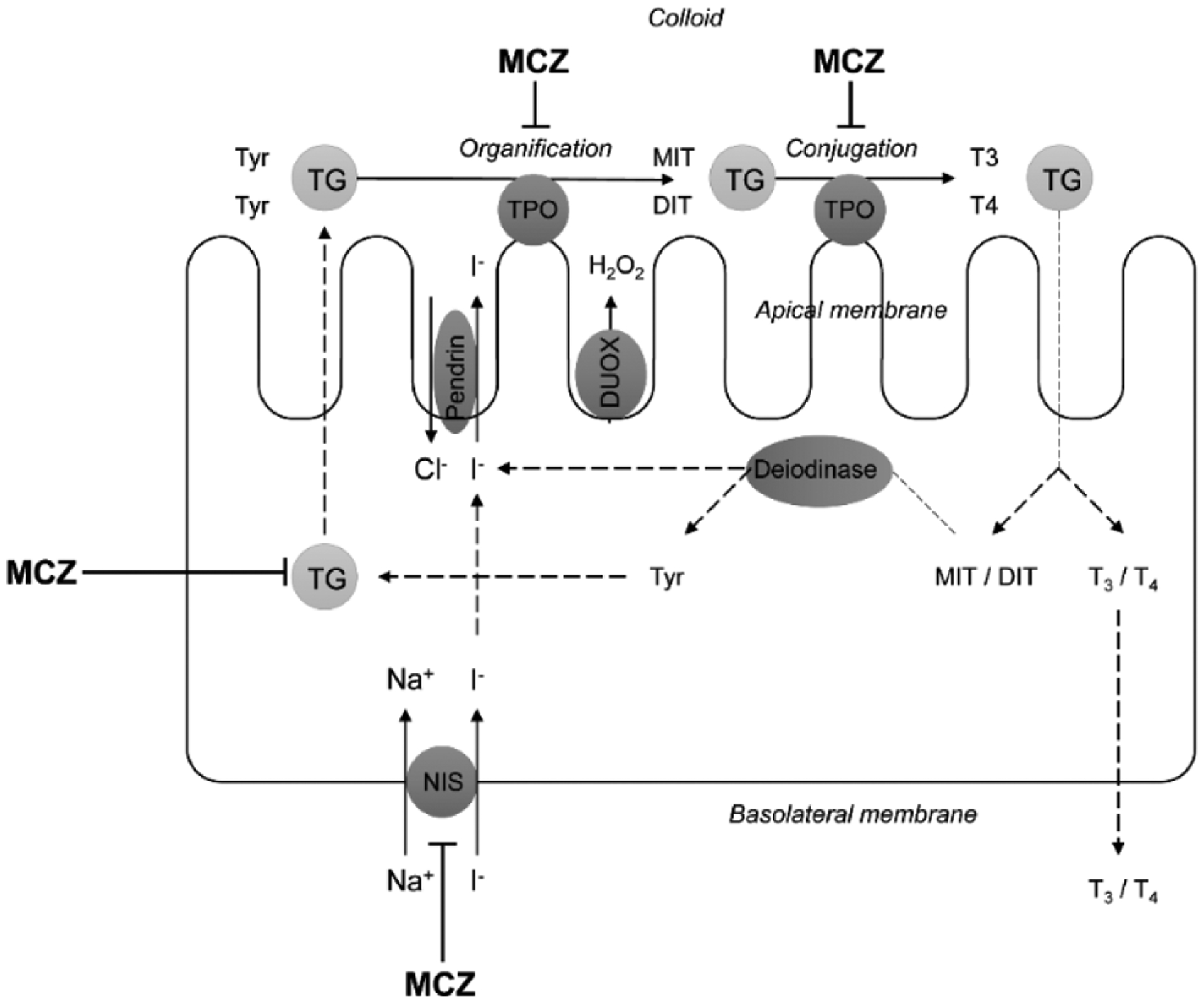 Figure 3.