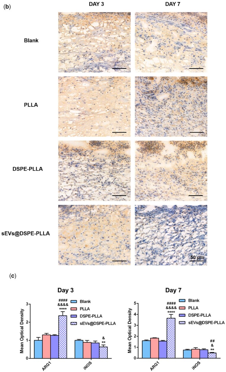 Figure 11.