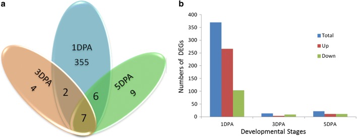 Fig. 6