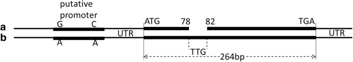 Fig. 5