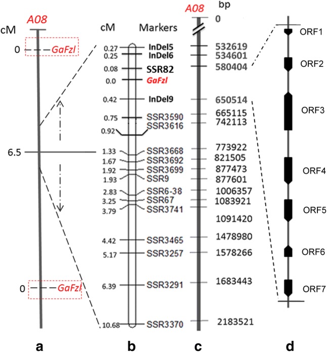 Fig. 4