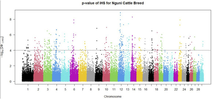 FIGURE 3