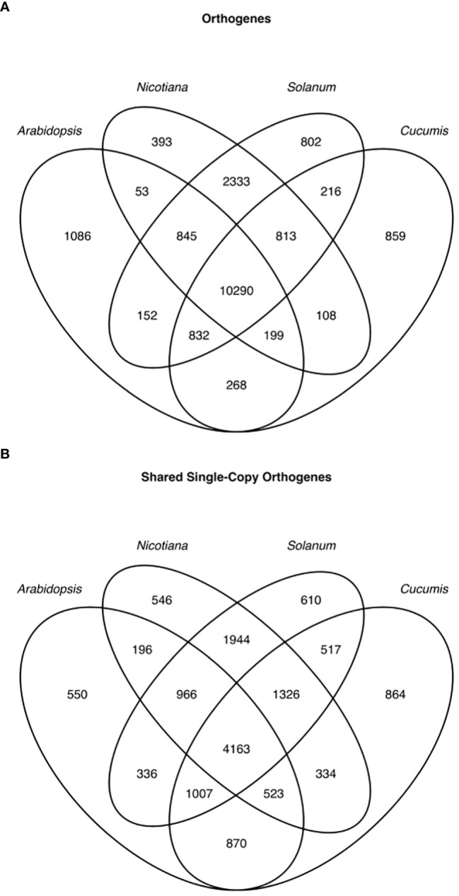 Figure 6