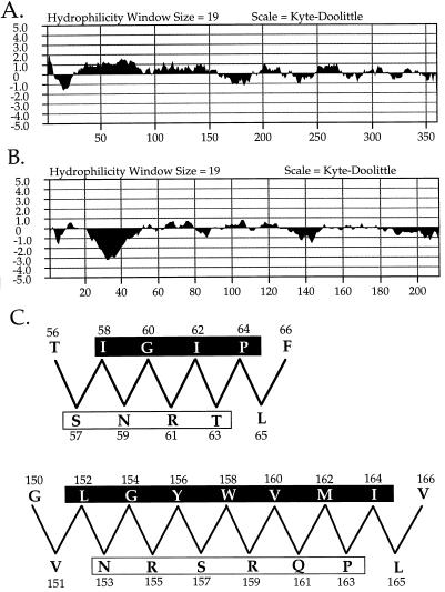 FIG. 8