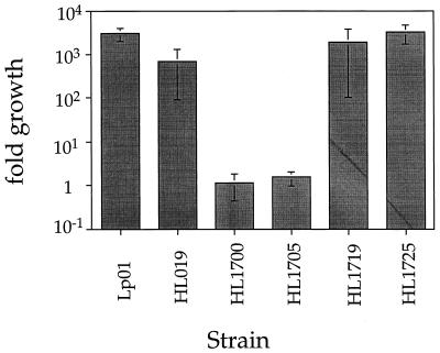 FIG. 5