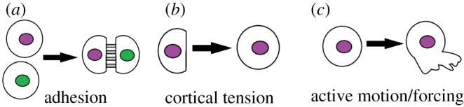 Figure 3.