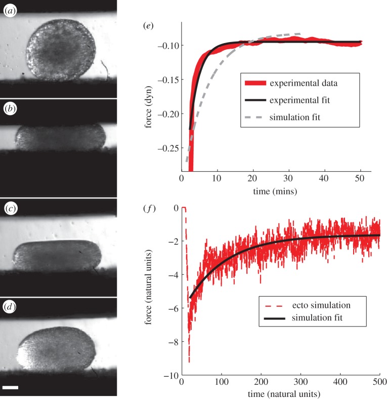 Figure 6.