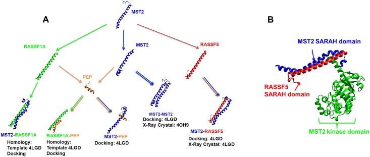 Fig 1