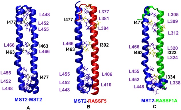 Fig 6