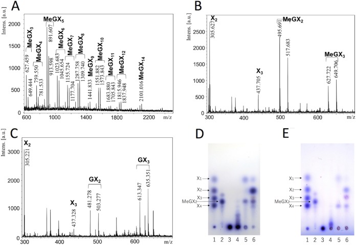 FIG 3