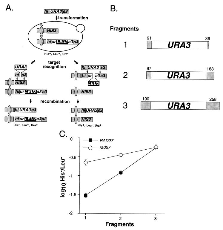 FIG. 1