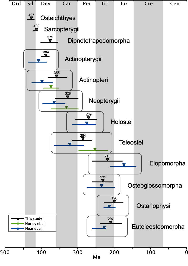 Comparison of mean (triangle) and 95% credibility intervals (horizontal bars) of divergence dates for fish taxa. 