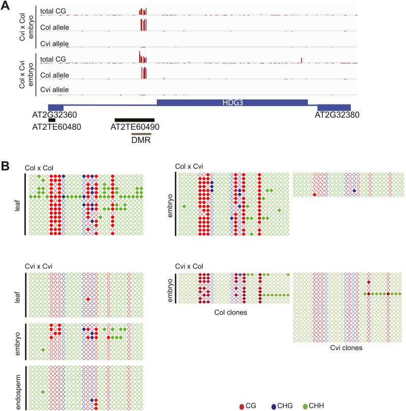 Figure 6—figure supplement 1.