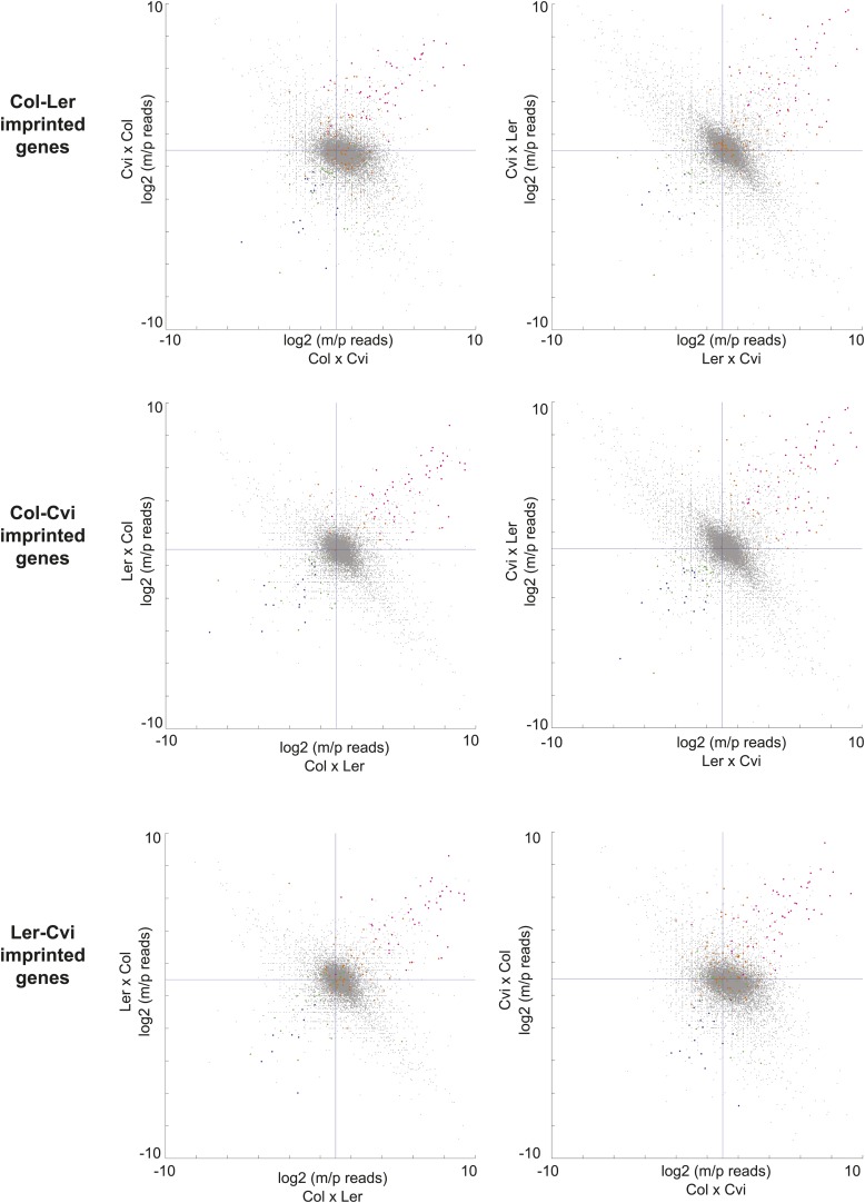 Figure 1—figure supplement 3.