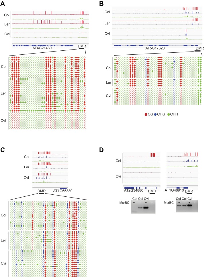 Figure 4—figure supplement 3.