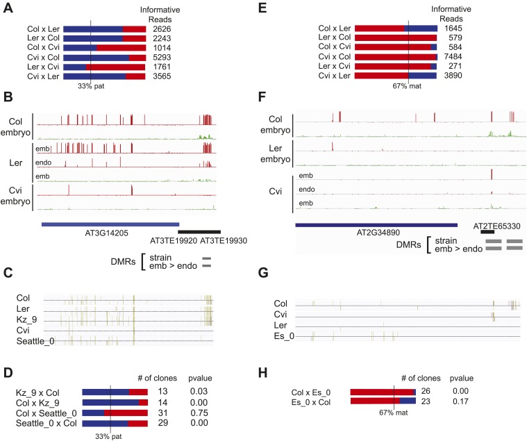 Figure 6—figure supplement 2.