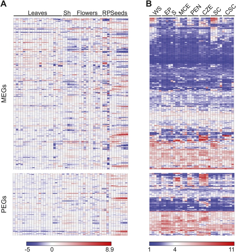 Figure 1—figure supplement 4.