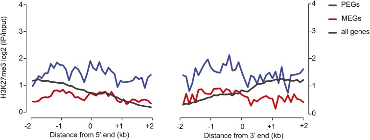 Figure 5—figure supplement 1.