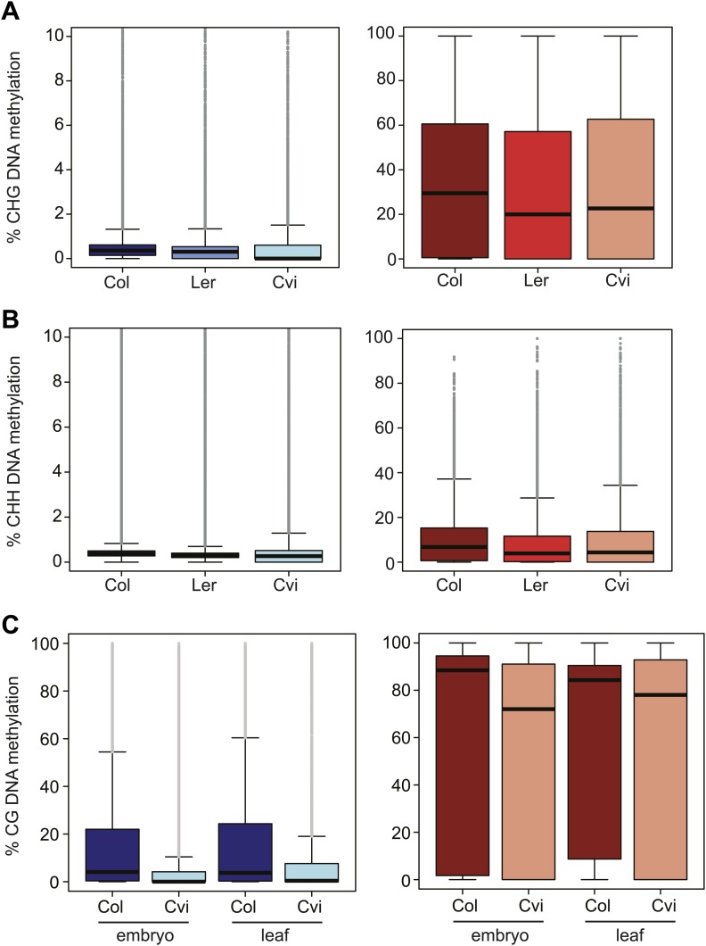 Figure 3—figure supplement 1.