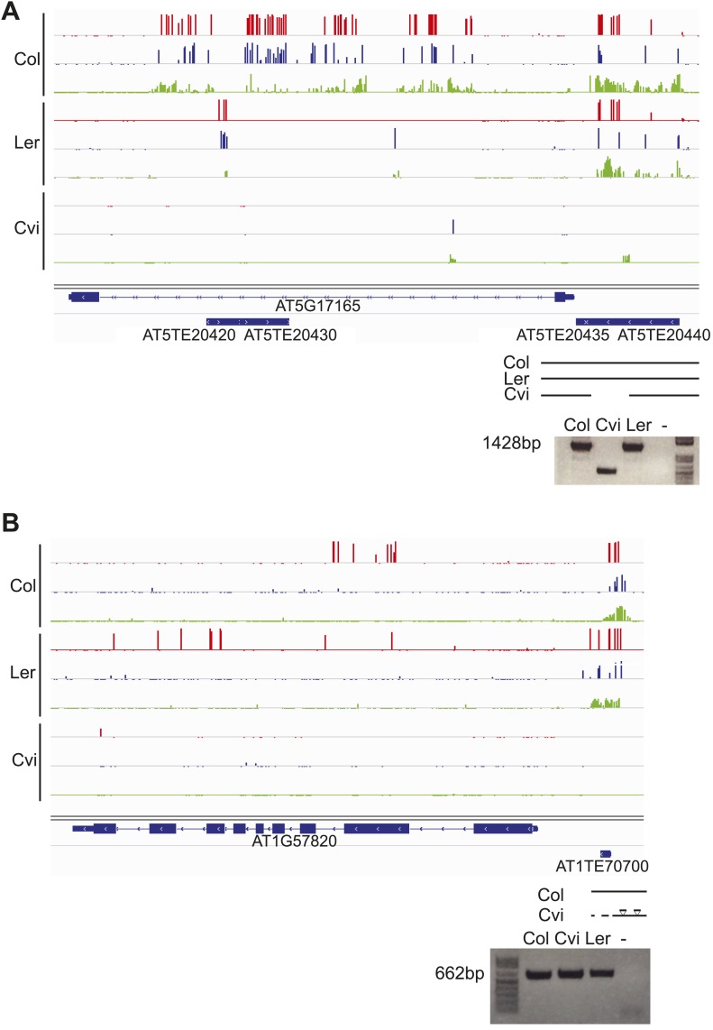 Figure 6—figure supplement 3.