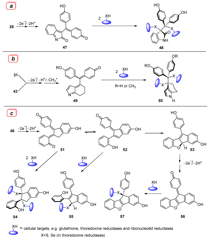 Scheme 8