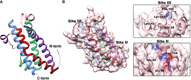 Figure 2