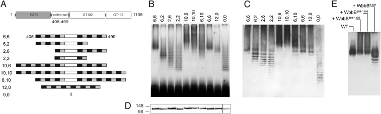 Fig. 5.