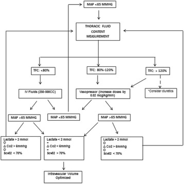 Fig. 33 (Abstract P163).