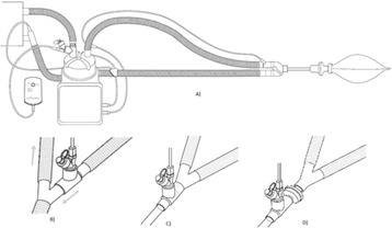 Fig. 53 (Abstract P231).
