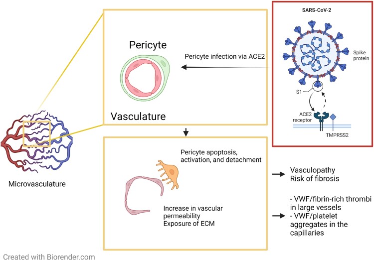 Graphical Abstract