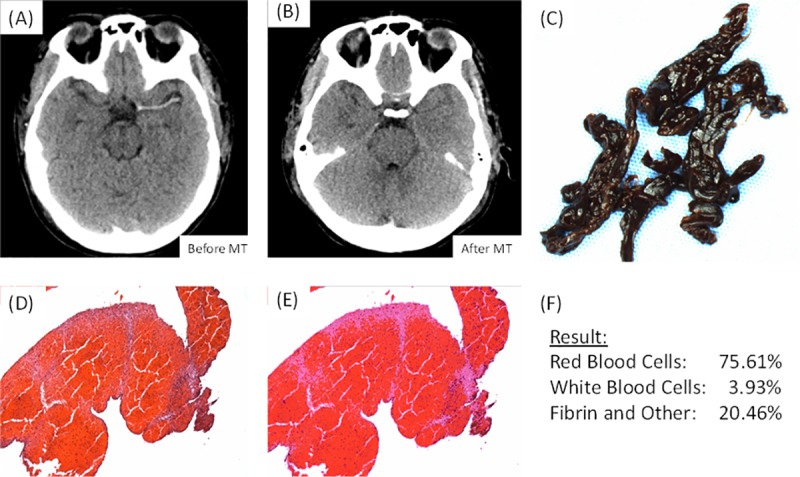 Fig 5