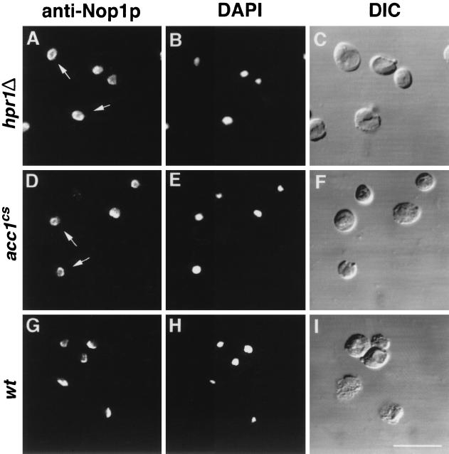 FIG. 8