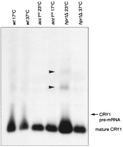 FIG. 6