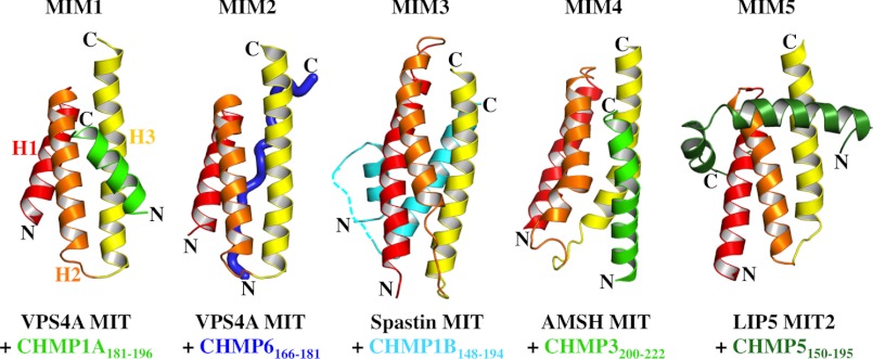 FIGURE 11.