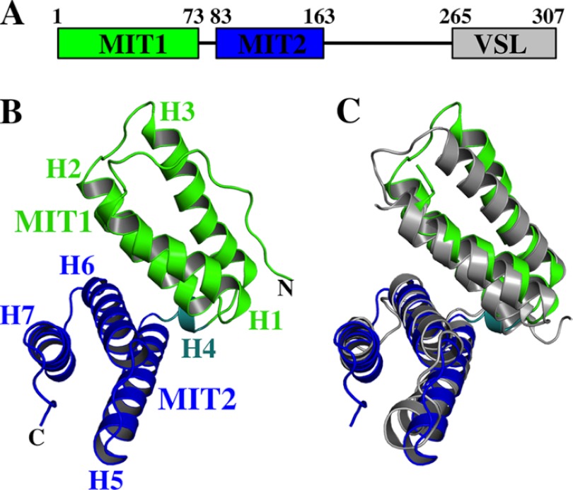 FIGURE 1.