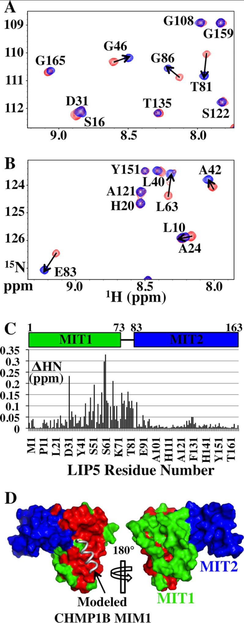 FIGURE 4.