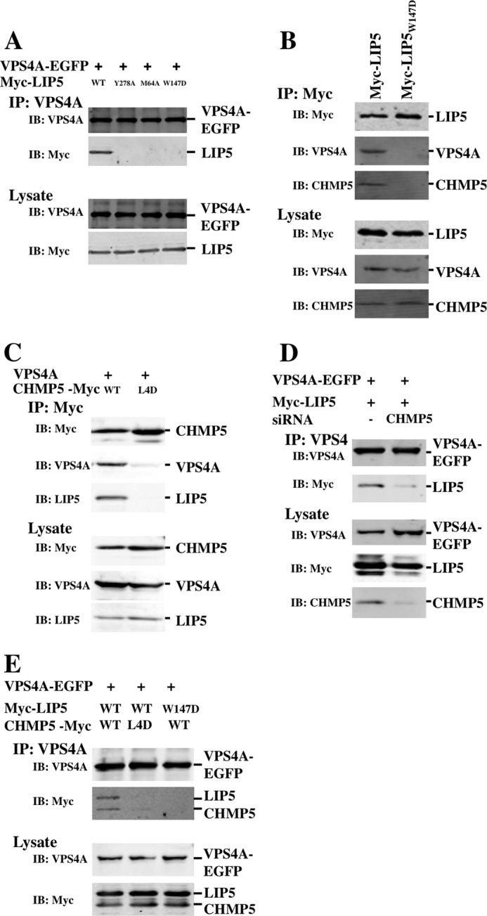 FIGURE 10.