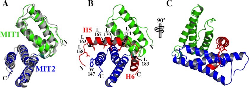 FIGURE 7.