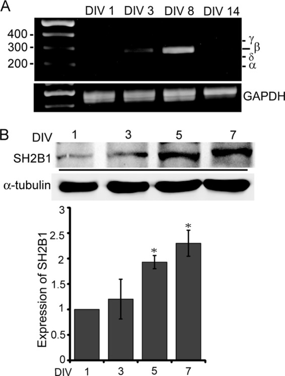 FIGURE 1.