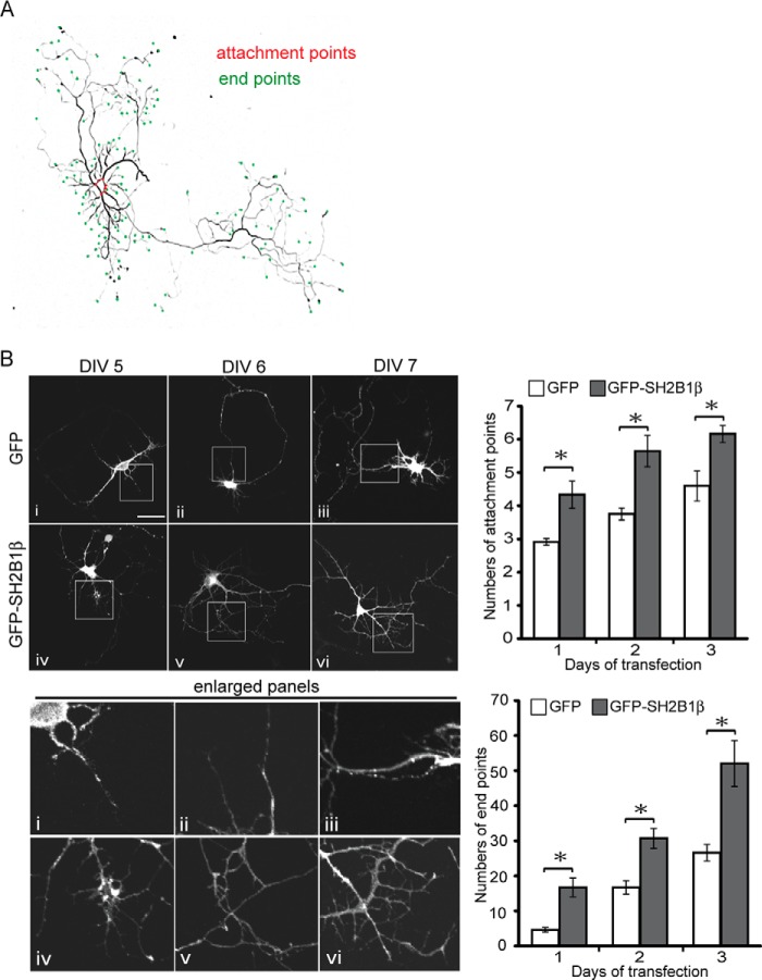 FIGURE 2.