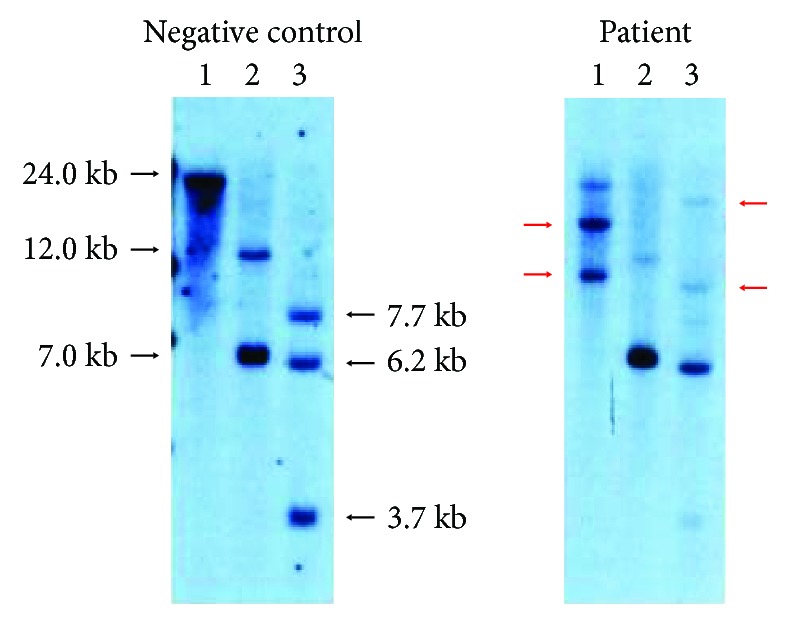 Figure 5