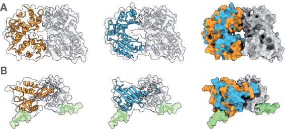 Fig. 5.