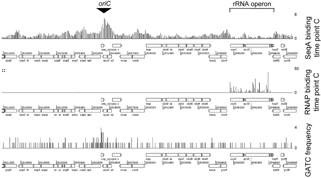 FIG 6 