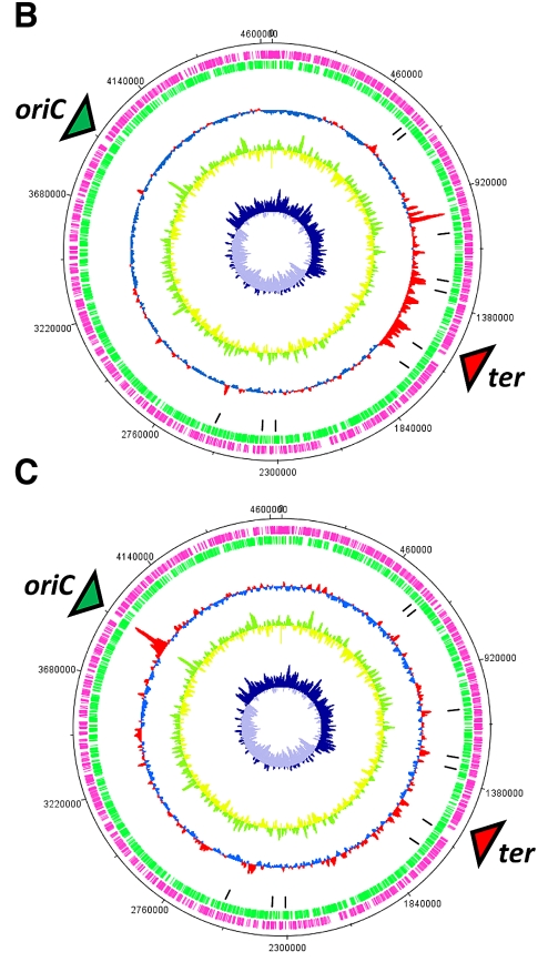 FIG 2 